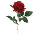 images/categories_images/Kladia.webp