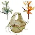images/categories_images/Pasxalina_diak.webp
