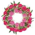 images/categories_images/gIA_EXO.webp