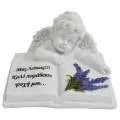 images/categories_images/thumb_web_afierosi.webp