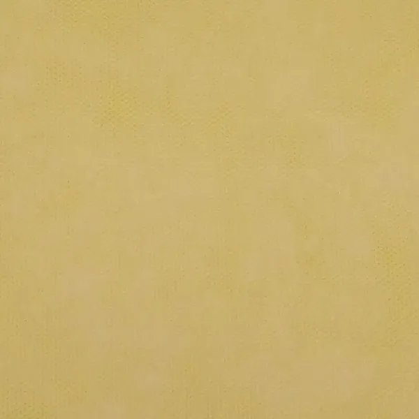 ΡΟΛΟ ΠΑΝΙ ΡΡL (NON WOVEN) ΚΙΤΡΙΝΟ 60cm X 18m