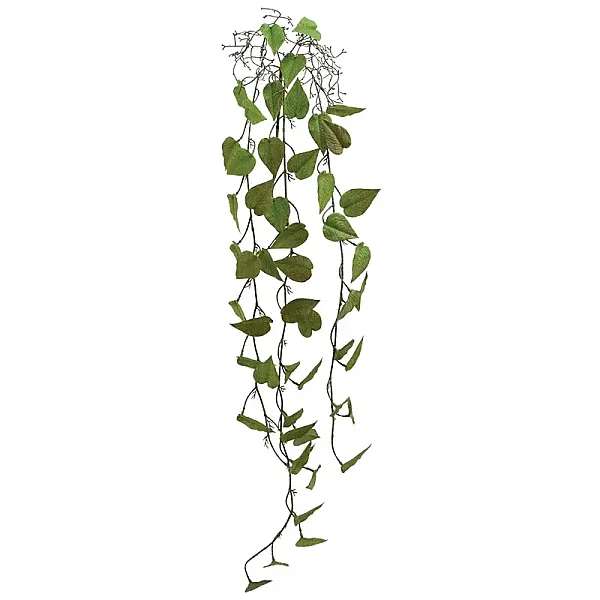 ΡΙΖΑ ΚΡΕΜΑΣΤΗ ΜΟΝΣΤΕΡΑ ΚΑΦΕ/ΠΡΑΣΙΝΟ - Y125cm 36/144ΚΙΒ